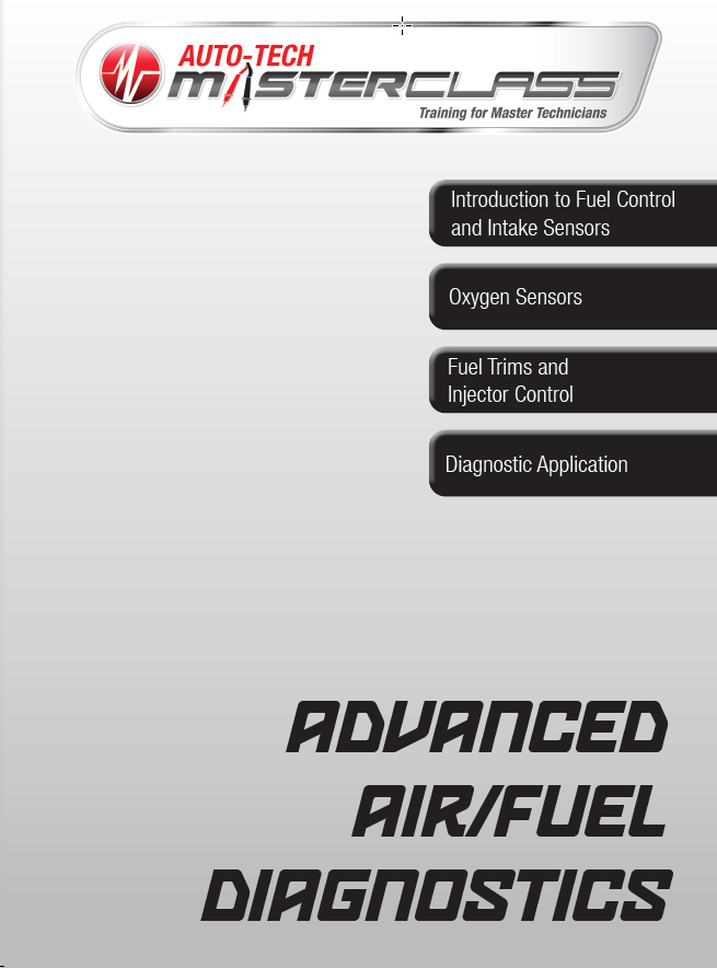 2025.3 Advanced Air-Fuel Diagnostics